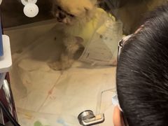 -瑞派宠物医院(锦江店)
