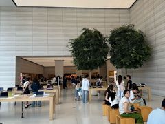 -Apple零售店(济南恒隆广场店)