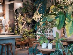 -自由生长植物工作室(深港花卉中心店)