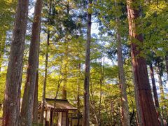 -三千院