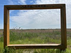 -盐城丹顶鹤湿地生态旅游区