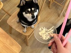 -柴の食堂·日式家庭料理·熊之肆(大学路店)