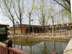 -荣德灶台鱼(圣泉寺店)