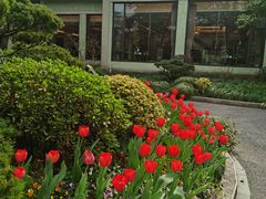 -浙江西子宾馆·瑶园咖啡厅