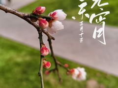 -静安雕塑公园
