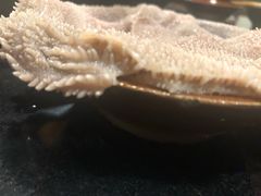 -彭三老火锅(枣子岚垭正街店)