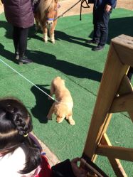 -萌宠亲子动物乐园(槐房万达店)