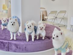 -怪兽屋·羊驼·猫咖·狗咖(俊华广场店)