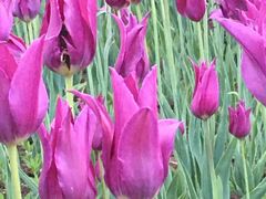 -长春公园(普阳街道)