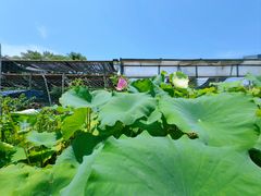 -天怡·鱼工厂(临江店)