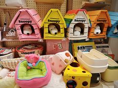 -帕帕拉兹宠物(亚洲旗舰店)