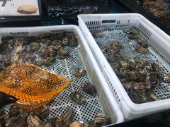 -盒马鲜生(曜一城店)