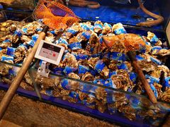 -高佳庄·舟山海鲜(海景旗舰店)