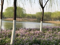 -东郊湿地公园