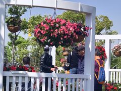 -上海植物园-4号门售票处