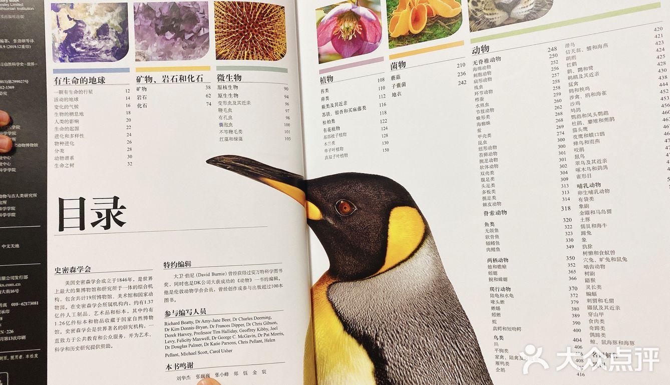 重约7斤 八开大本 623页