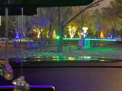 -枫花园汽车电影院(朝阳公园店)
