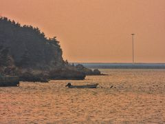 -烟墩角天鹅湖