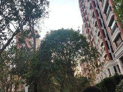-颛桥紫薇花园