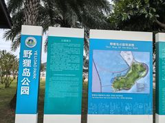 -野狸岛
