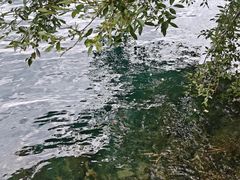 -丽江泸沽湖景区-里格半岛