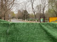 -长白岛森林公园