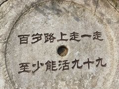 -千年银杏谷文化旅游区