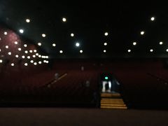 -SFC上影影城(南京新城市广场店)