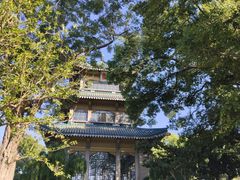 -东湖听涛景区
