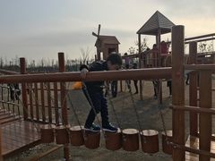 -上海长兴岛郊野公园