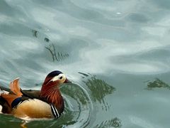 -颐和园