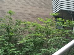 -杭州口腔医院(城西院区)
