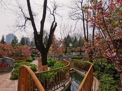 -太阳宫公园