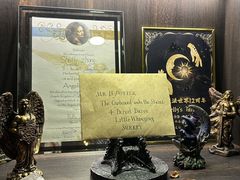 -雪灵魔法世界SHELLY’S TAROT(大良桂畔里店)