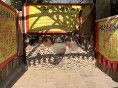 -呀路古热带植物园