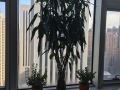 -吃饼人西餐(南开店)