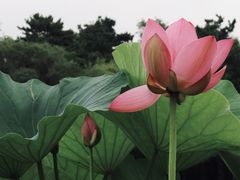 -长春市南湖公园