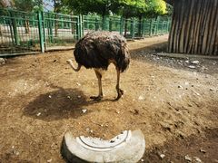 -大青山野生动物园