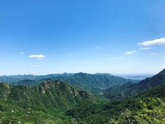 -大岭沟猕猴桃谷风景区