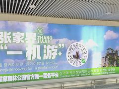-张家界荷花国际机场