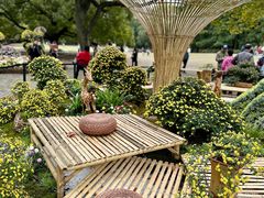 -上海共青森林公园