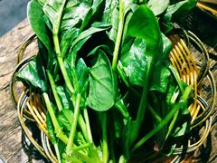 菠菜-北龙碳锅牛蛙(尚泽大都会店)