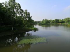 -尚贤河湿地