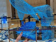 -郑州美盛喜来登大酒店