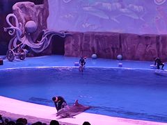 -华夏文旅海洋公园