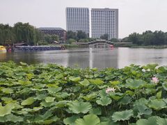 -西海子公园