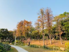 -人民公园(罗湖区)