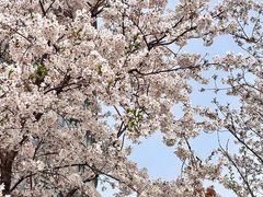 -上海世纪汇广场