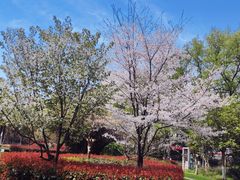 -南京特殊教育师范学院(燕子矶校区)