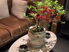 -水云空涧·沐足·采耳·按摩·SPA影院(琶洲店)